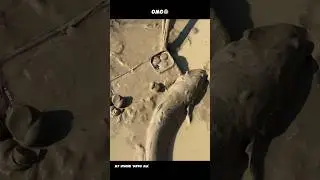 My iPhone 14Pro Max Drop into The Mud in The Lake😭 #fishing #fish #vlog #satisfying #shorts