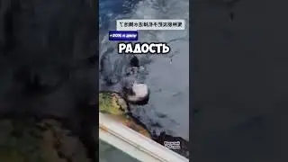 Уронил телефон в вольер с выдрами 😳