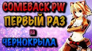 COMEBACK PW ПЕРВЫЙ ЧЕРНОКРЫЛ