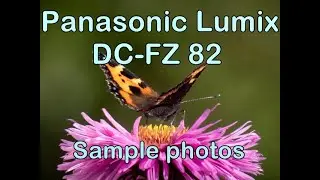Panasonic DC-FZ82/80 - Sample photos