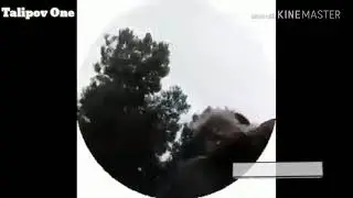 Shaxarga Endi Kelgan Qizlar va Bollar 😂😂😂 2018 video