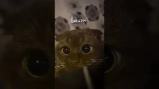 Click for surprise😇 #lovely #cute #adorable