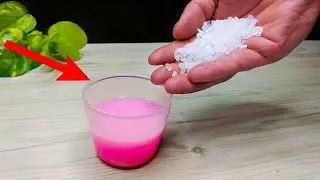 Mix detergent with salt, and you'll thank me!