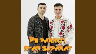 Azi din nou m am imbatat