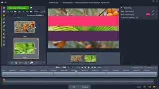 Pinnacle Studio - Transitions Dynamic Shapes 1 4K
