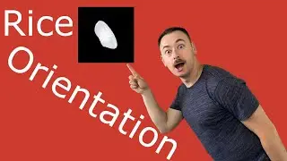 Finding Rice Grain Orientation is as Easy as 1, 2, 3!
