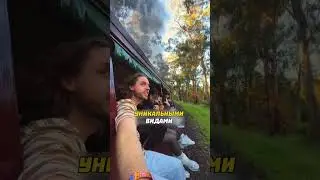 Уникальный поезд🚂#идеибизнеса #идеидлябизнеса #бизнесидеи #бизнес #бизнесмен #предприниматель
