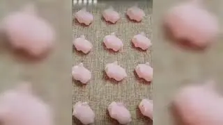 Pig Stop Motion