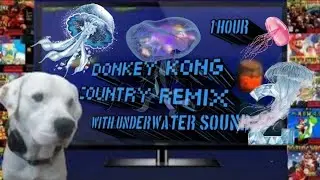 donkey Kong country Aquatic Ambiance remix with underwater sound 🎶  part 2 doggie rascal