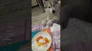 у 