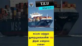 What is TEU