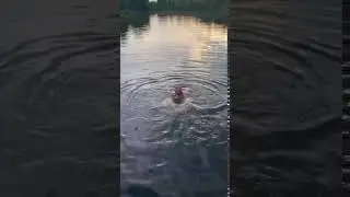 Оля Полякова боится большую рыбу в реке (2)