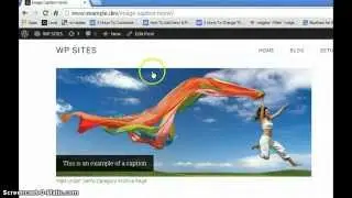 Caption Text On Image Hover in WordPress