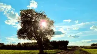 Prolazi jesen - Ljubisa Pavkovic - instrumental