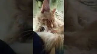 ДАЛЕКО пойдёте 