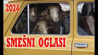 SMEŠNI OGLASI - Nema šta nema  -  2024