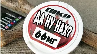 САМЫЙ СИЛЬНЫЙ СНЮС, ДИКИЙ 66 МГ, БЕЛЫЙ СНЮС