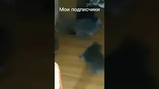 сегодня 29 октября