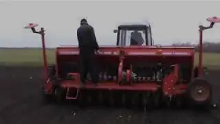 Сівба гірчиці, сев горчицы,  mustard seed 2019