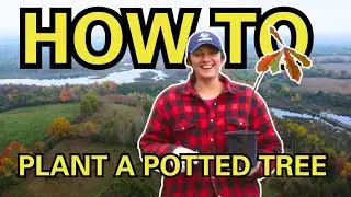 Planting trees for success: a forestry technician shares their best advice