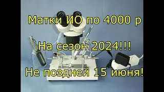 Матки инструментального осеменения на сезон 2024!!!