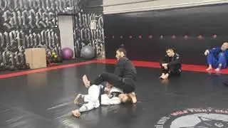 Семинар Владимира Кучмистого и Лийси Вахт.#Tarikoplata.