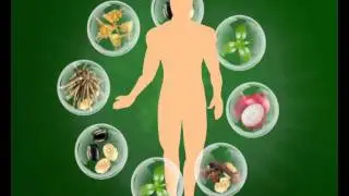 How to get Body growth in Animation