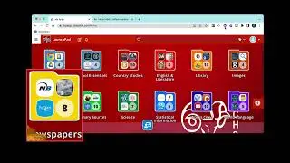 Accessing a Online Newspaper Article in A Database
