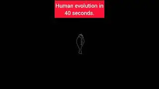 4 billion years of human evolution into 40 seconds | Fact o Real | #shorts #ytshorts