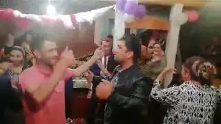 Туй дар Помир & Помири сур & Вахон