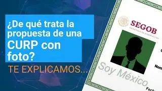 ¿Cómo será la CURP con fotografía? Dinero en Imagen