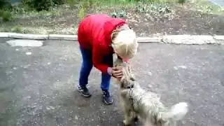 Собака встречает хозяйку после пары минут разлуки | бывшая приютская собака | безмерная преданность