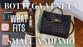 What Fits in the Bottega Veneta Small Andiamo