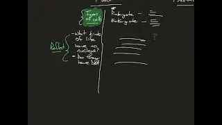 force between molecules