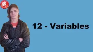 Delphi Programming Course (FMX): 12 - Variables