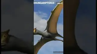 Dsunaripterus - Un jour, Un dino