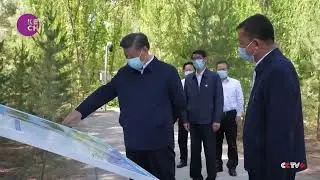 President Xi's visit to Inner Mongolia sparks local efforts to combat desertification