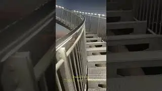 Что посмотреть в Дуйсбурге. Тигр и черепаха.