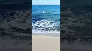 Surah Tubah Urdu Translation #quranurdutranslation #quran #allah #shorts