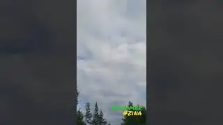 Zina