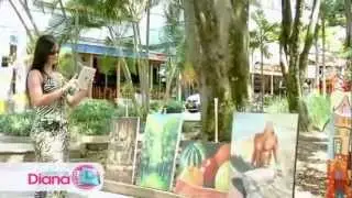 Diario de Diana ::: Eliana Franco ::: Parque Lleras.