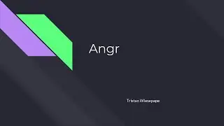 Angr (2022)