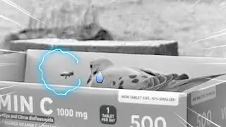 Bees vs Doves: A Different Animal Battle