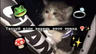 😻 Танцуй если знаешь этот тренд 🍄Тик ток 2021 // Tik Tok trend 2021 🐸