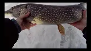 Зимняя рыбалка лучшее!!!