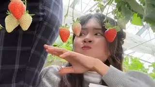 How is life like for people in remote villages in Indonesia? There are lots of fruit gardens.