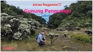Banyak Spot Wisata | Pendakian Gunung Pangrango via Cibodas