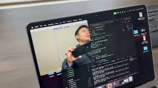 Messing around with yolo11