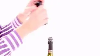 Vinpumpe (Wine Saver) VacuVin gavepakke sort (1 pumpe, 2 vinpropper)