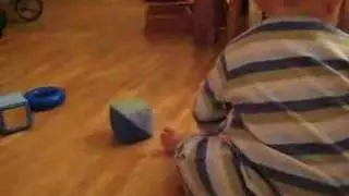 Elliot looks away